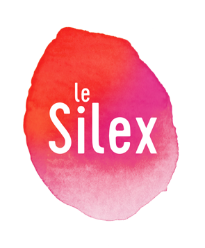 Le Silex